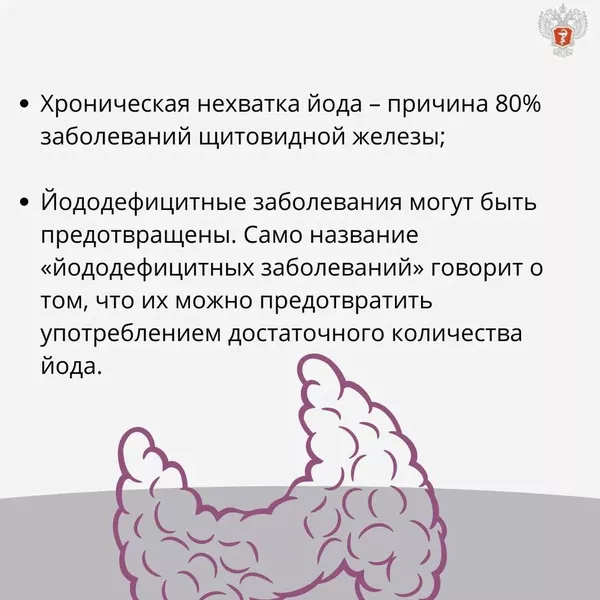 photo-2022-05-25-16-43-25.jpg photo-2022-05-25-16-43-25.jpg